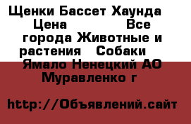 Щенки Бассет Хаунда  › Цена ­ 25 000 - Все города Животные и растения » Собаки   . Ямало-Ненецкий АО,Муравленко г.